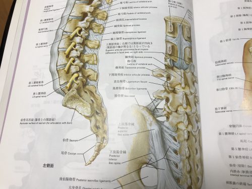 丁寧な説明をしてもらい怪我を理解する事